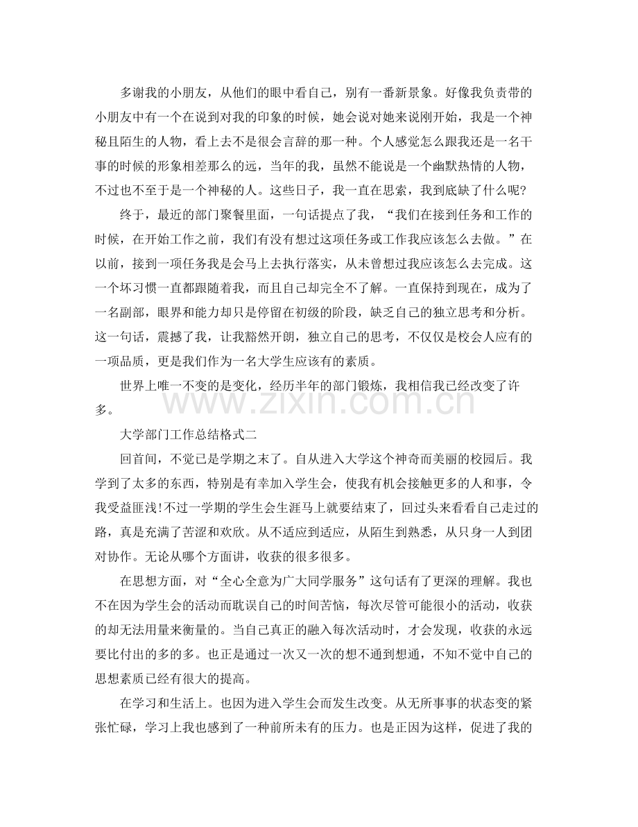 大学部门工作总结格式 .docx_第2页