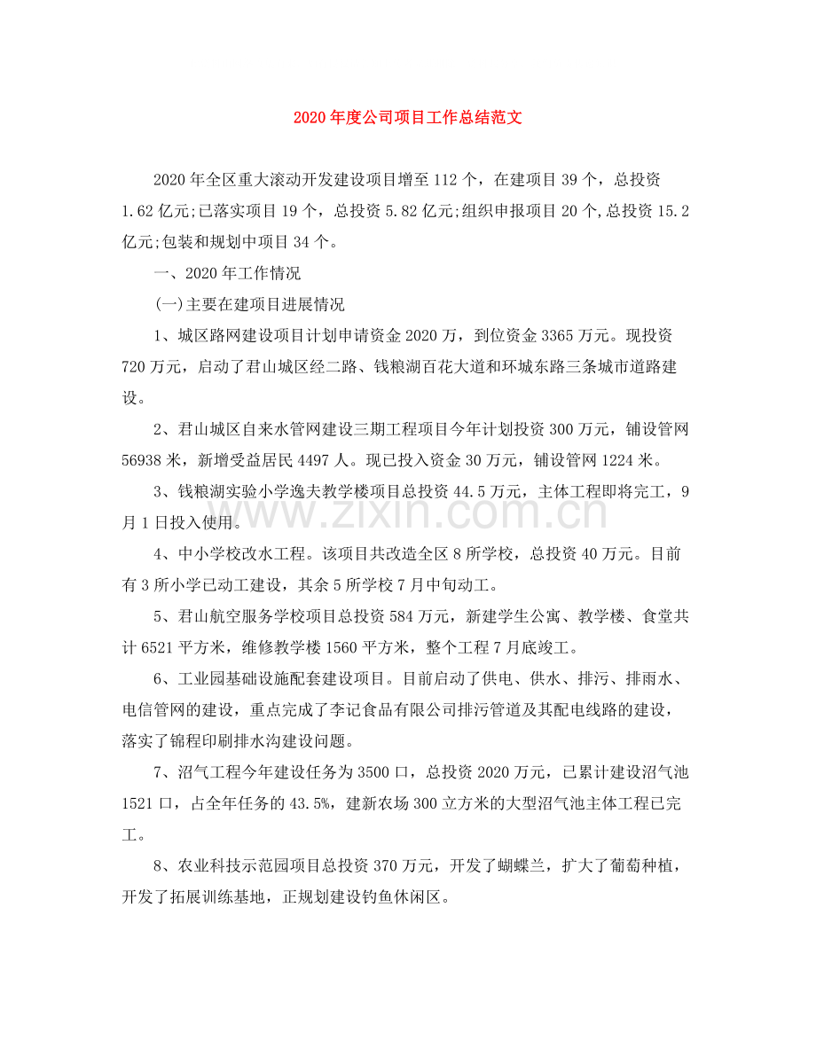 2020年度公司项目工作总结范文.docx_第1页