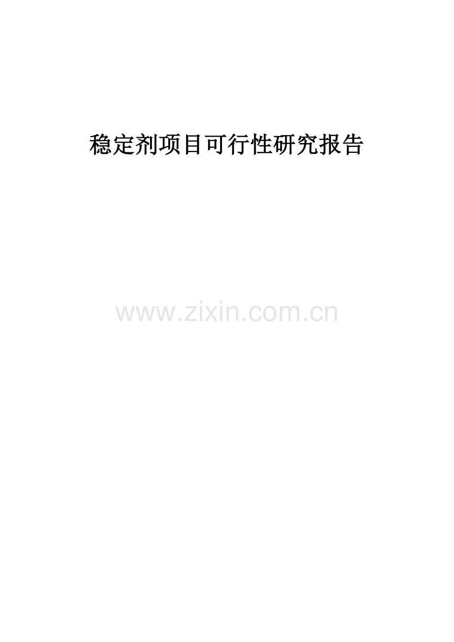 稳定剂项目可行性研究报告.docx_第1页