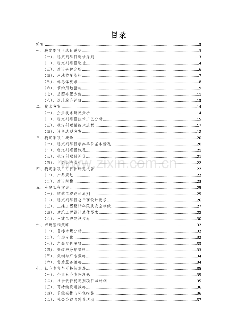 稳定剂项目可行性研究报告.docx_第2页