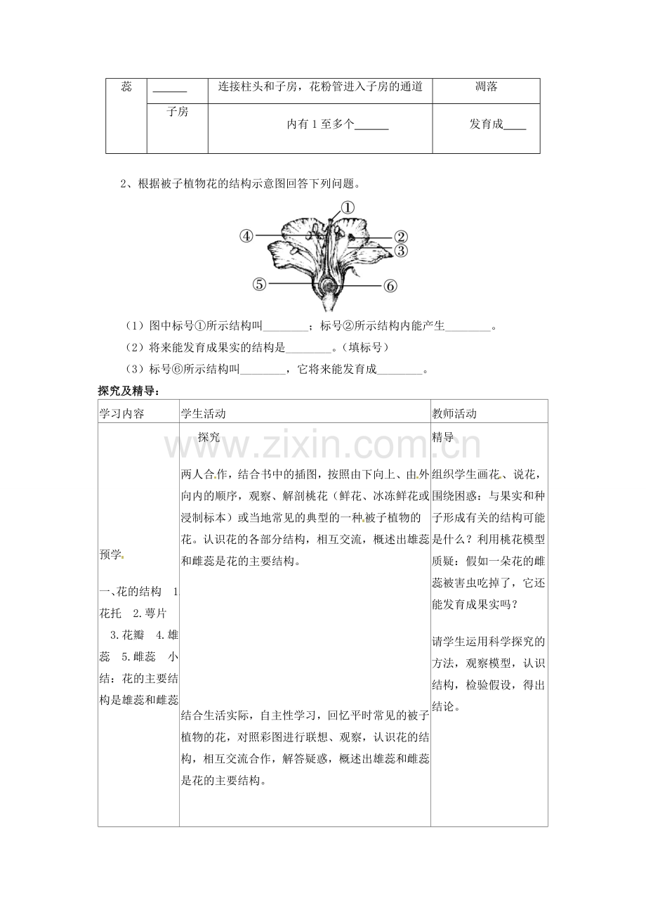 初中部七年级生物上册 第3单元 第2章 第3节 开花和结果教案 （新版）新人教版-（新版）新人教版初中七年级上册生物教案.doc_第2页