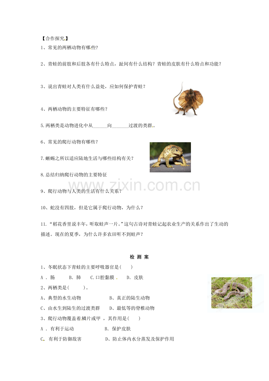 八年级生物上册 5.1.5 两栖动物和爬行动物导学案（无答案）（新版）新人教版.doc_第2页