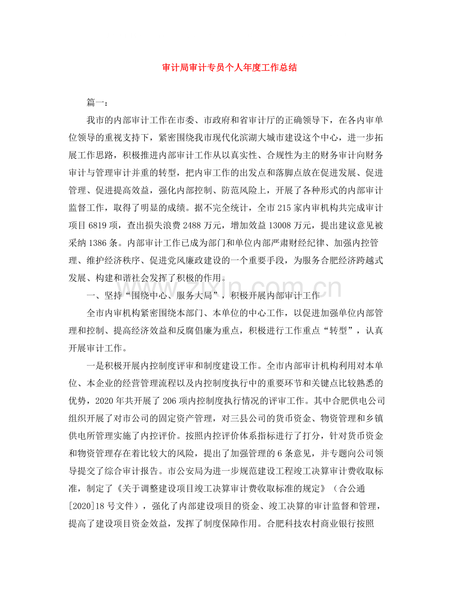 审计局审计专员个人年度工作总结.docx_第1页