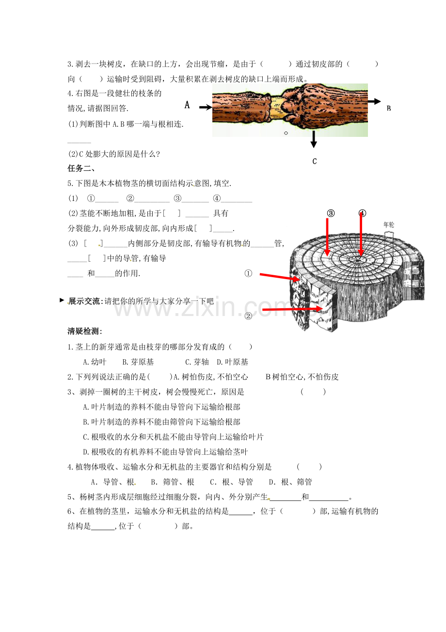 辽宁省辽阳市第九中学七年级生物上册《3.5.4 植物茎的输导功能》学案（无答案） 新人教版.doc_第2页