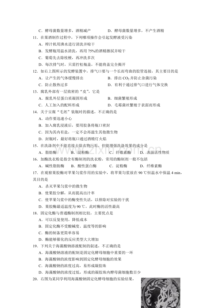 沭阳县2013-2014学年高二下学期期中调研测试生物试题.doc_第2页