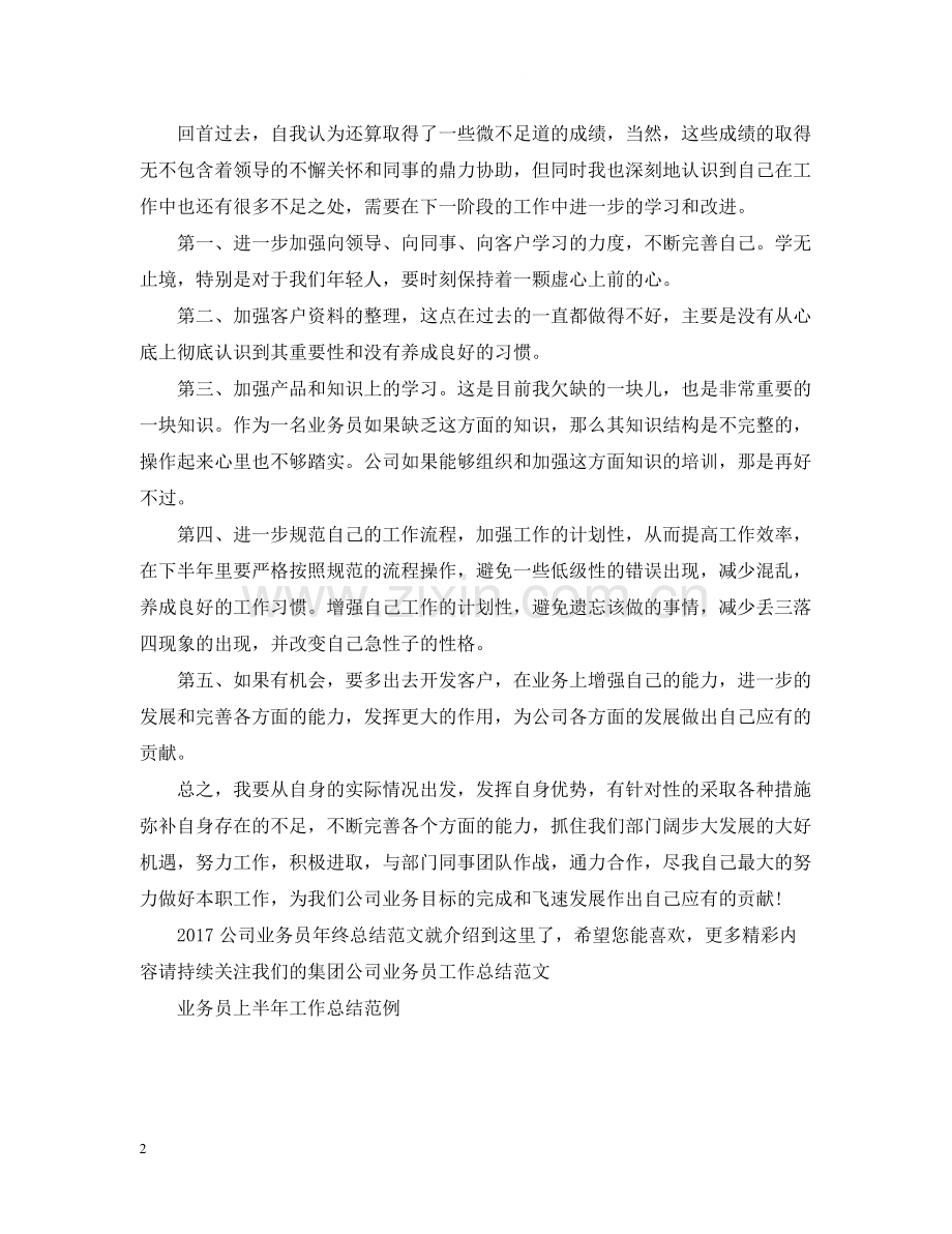 公司业务员年终总结范文2.docx_第2页