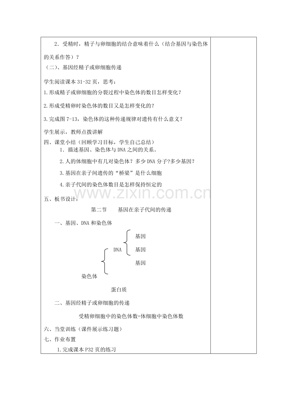 八年级生物下册 第二章第二节基因在亲子代间的传递教案 （新版）新人教版-（新版）新人教版初中八年级下册生物教案.doc_第2页