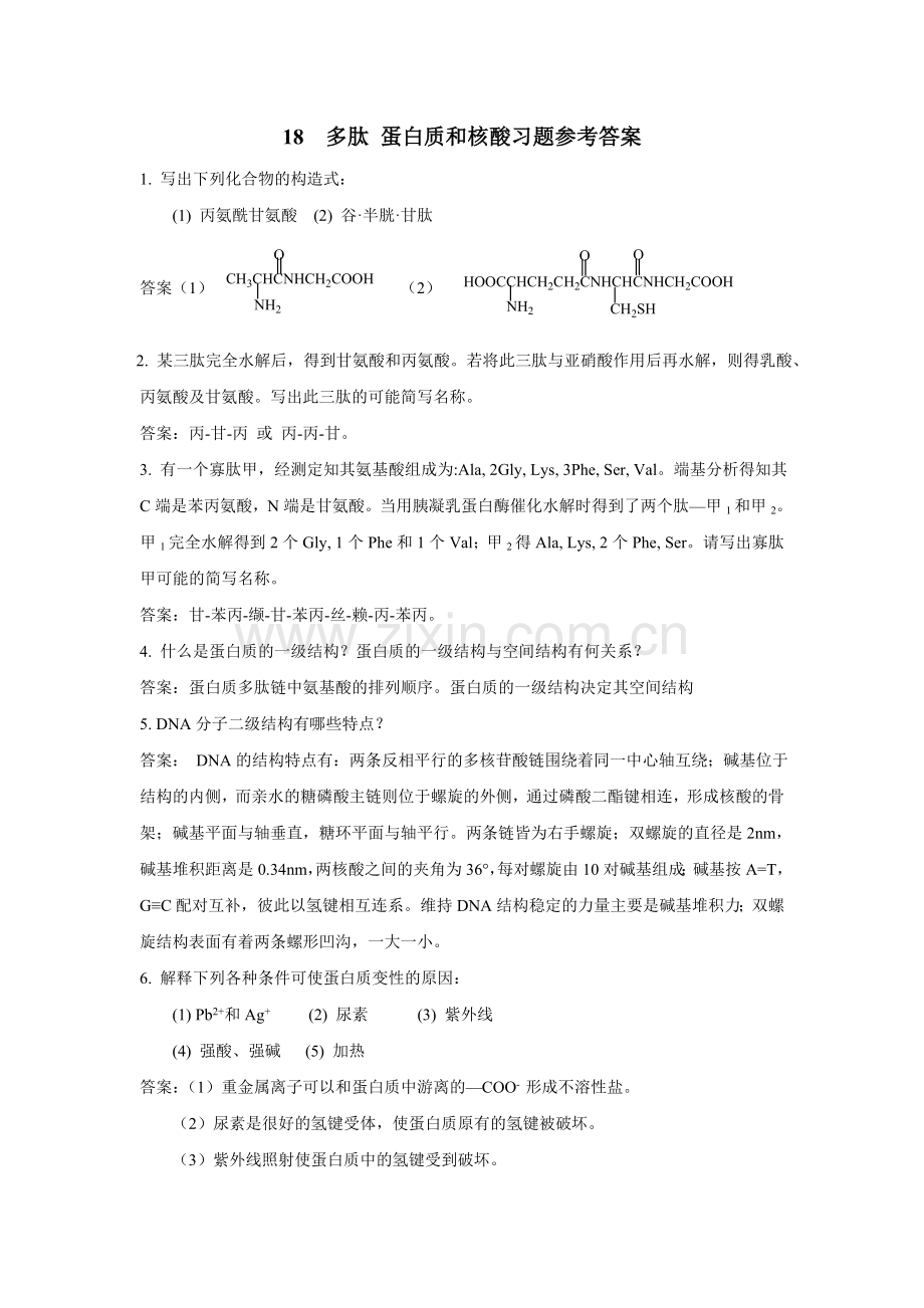 多肽蛋白质及核酸习题参考答案.doc_第1页