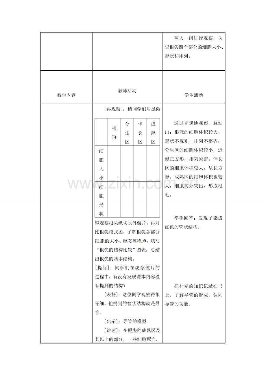 江苏省东台市唐洋镇中学七年级生物上册《5.2 植物根的生长》教案 苏教版.doc_第3页