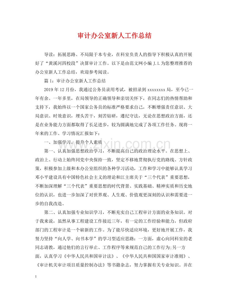 审计办公室新人工作总结.docx_第1页