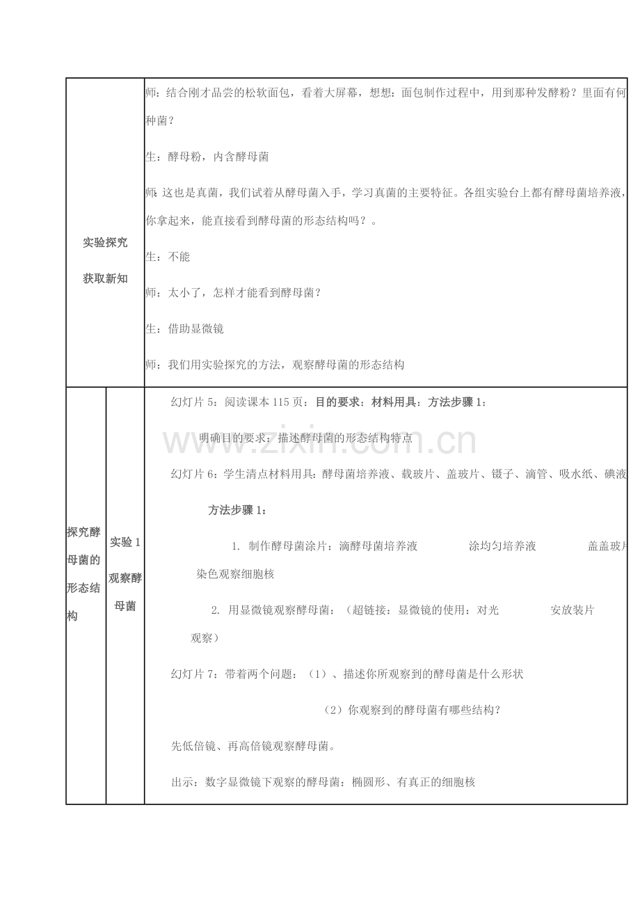 七年级生物上册 第二单元 第三章 第三节 真菌教学设计 济南版-济南版初中七年级上册生物教案.doc_第3页