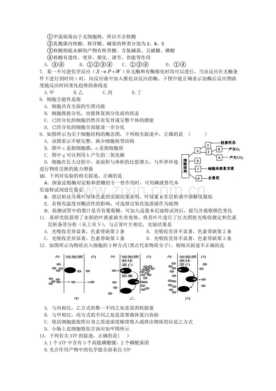 浙江省衢州一中2012届高三上学期期中考试(生物).doc_第2页