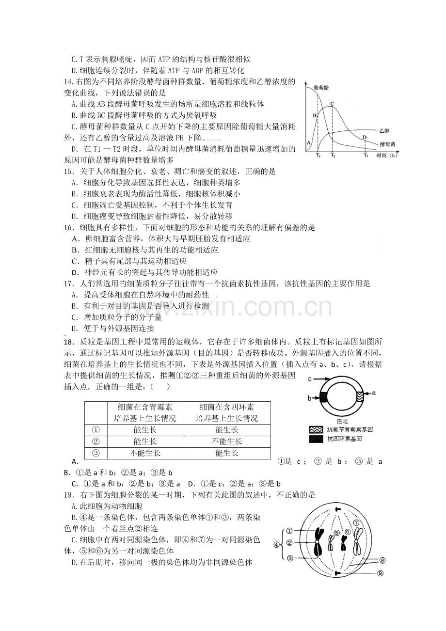 浙江省衢州一中2012届高三上学期期中考试(生物).doc_第3页