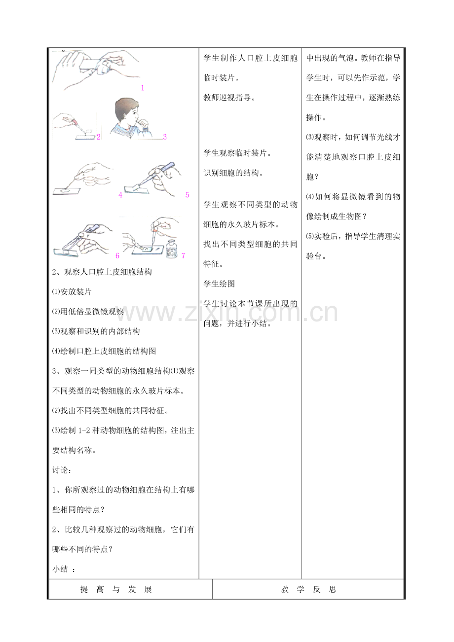 七年级生物上册《细胞的基本结构和功能》教案2 北师大版.doc_第3页