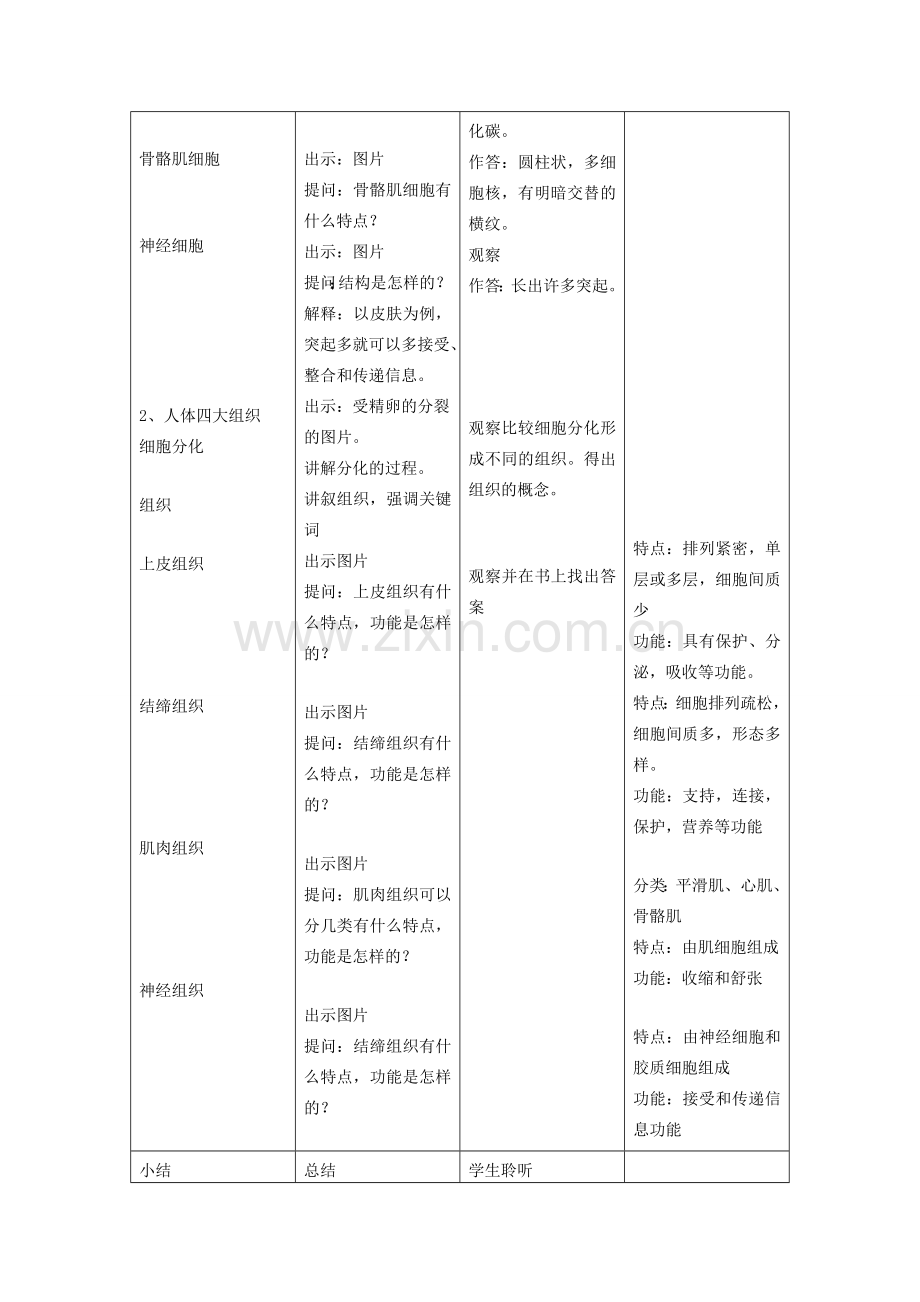 八年级生物 第一学期（试验本）第1章第一节人体内的细胞是如何组成的教案 上海版.doc_第2页