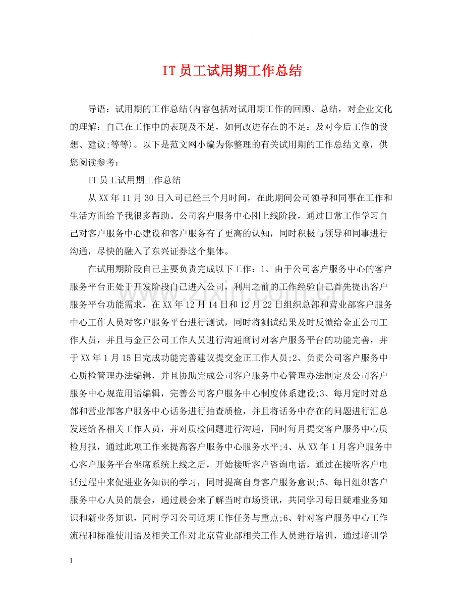 IT员工试用期工作总结.docx_第1页