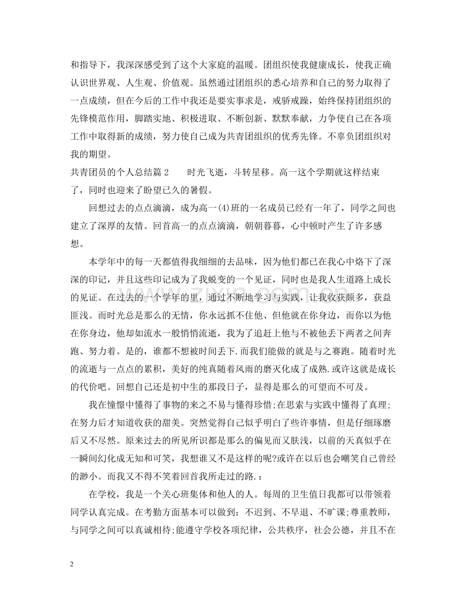 共青团员的个人总结.docx_第2页