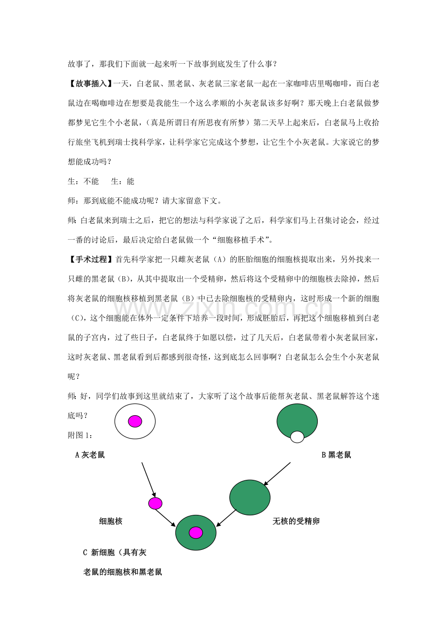 八年级生物上册 第5单元 生物的生殖、发育与遗传 第一节 DNA是主要的遗传物质名师教案2 苏教版.doc_第3页