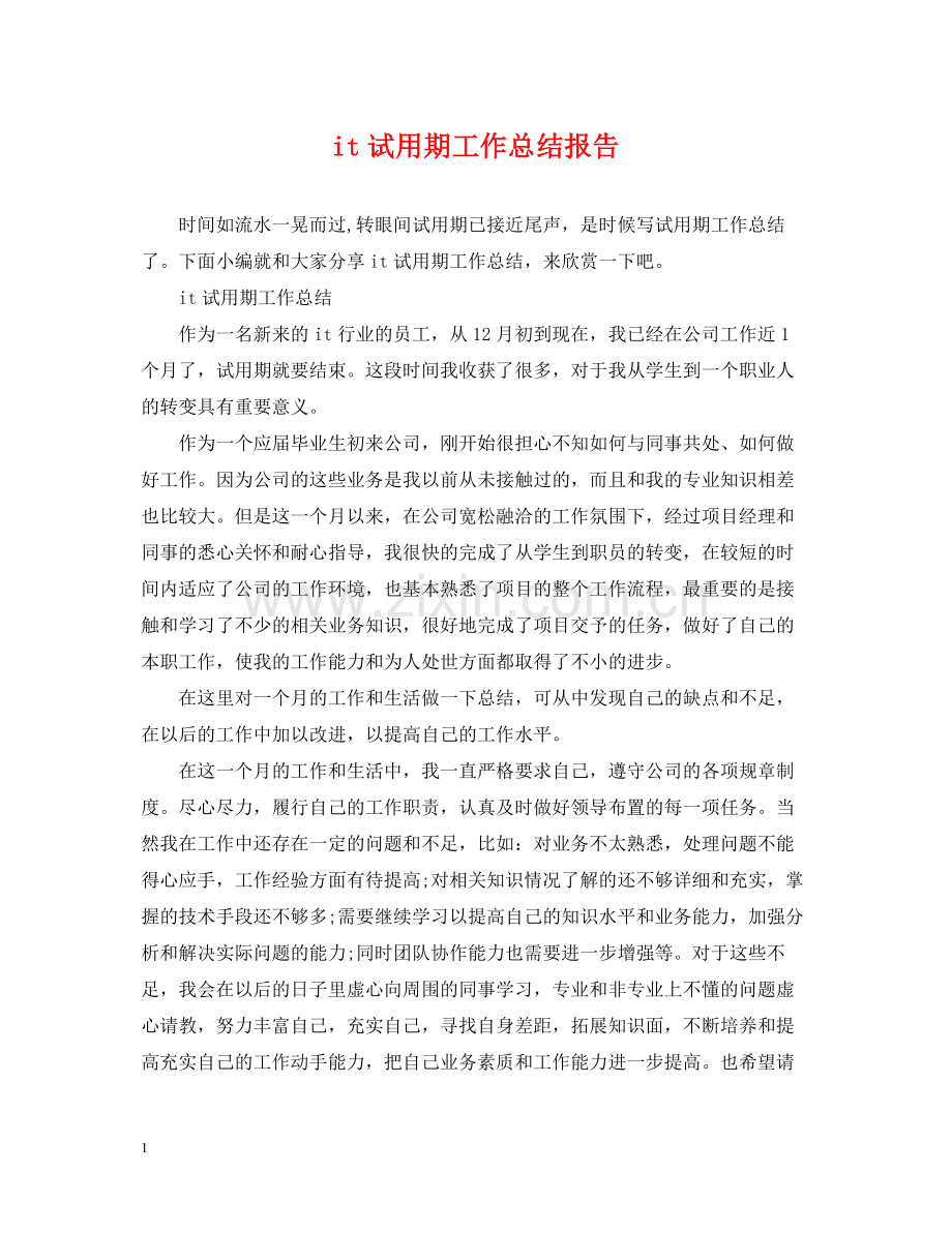 it试用期工作总结报告.docx_第1页