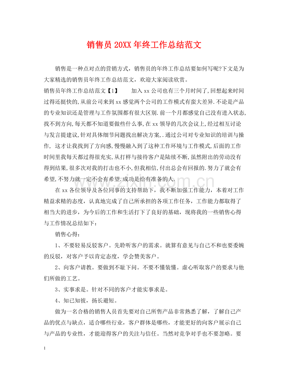 销售员终工作总结范文.docx_第1页