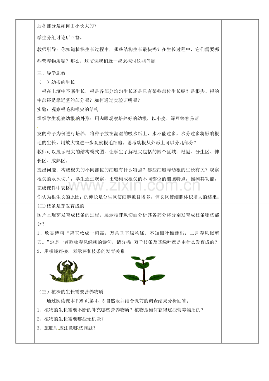 新疆维吾尔自治区七年级生物上册 3.2.2植株的生长教案 （新版）新人教版-（新版）新人教版初中七年级上册生物教案.doc_第2页