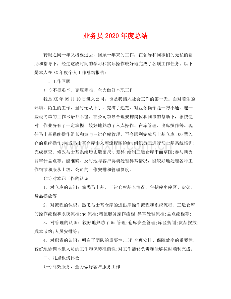 业务员2020年度总结 .docx_第1页