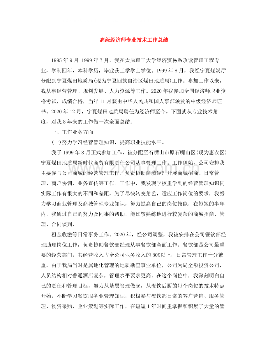 高级经济师专业技术工作总结.docx_第1页