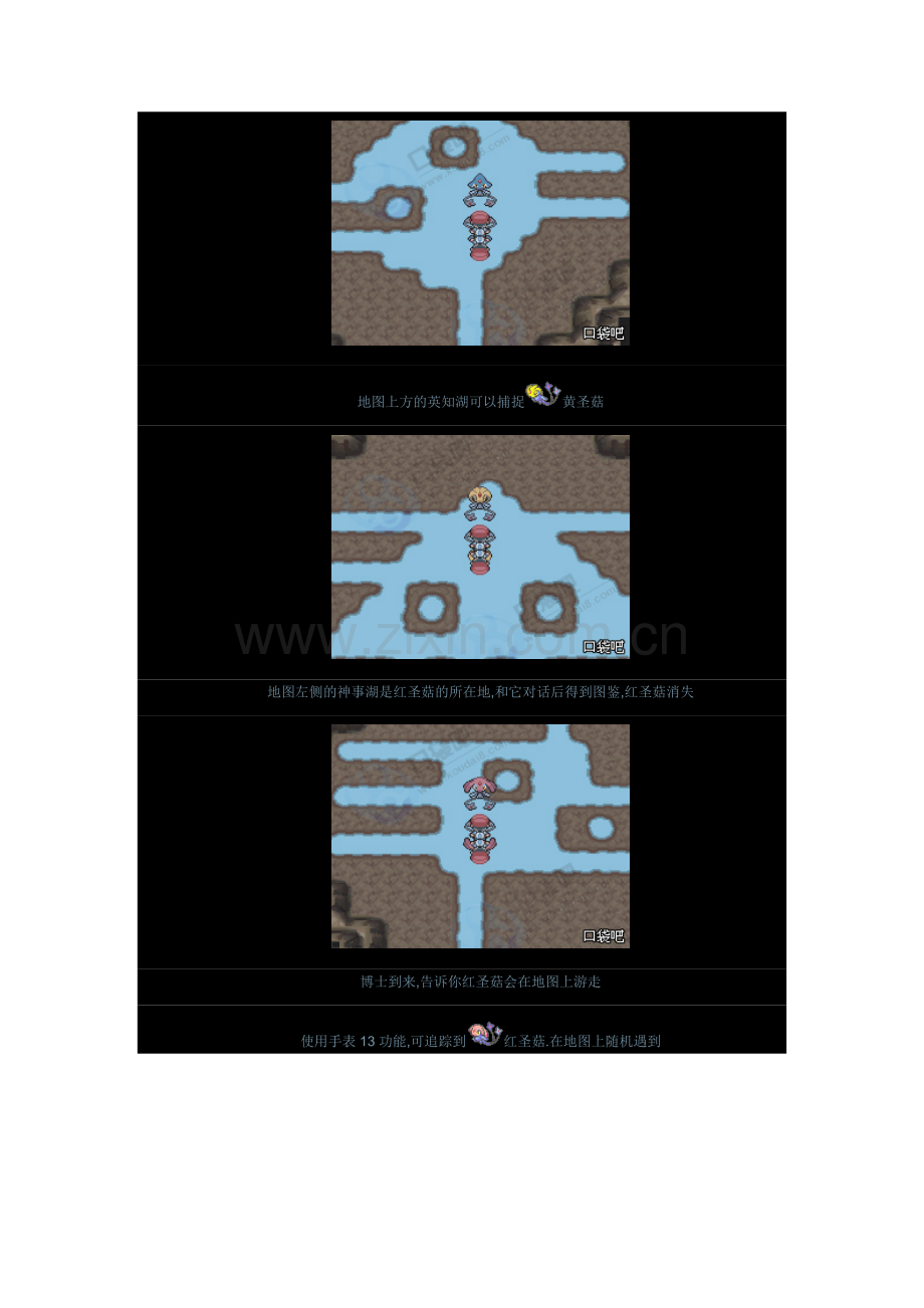 口袋妖怪白金通关后攻略.doc_第2页