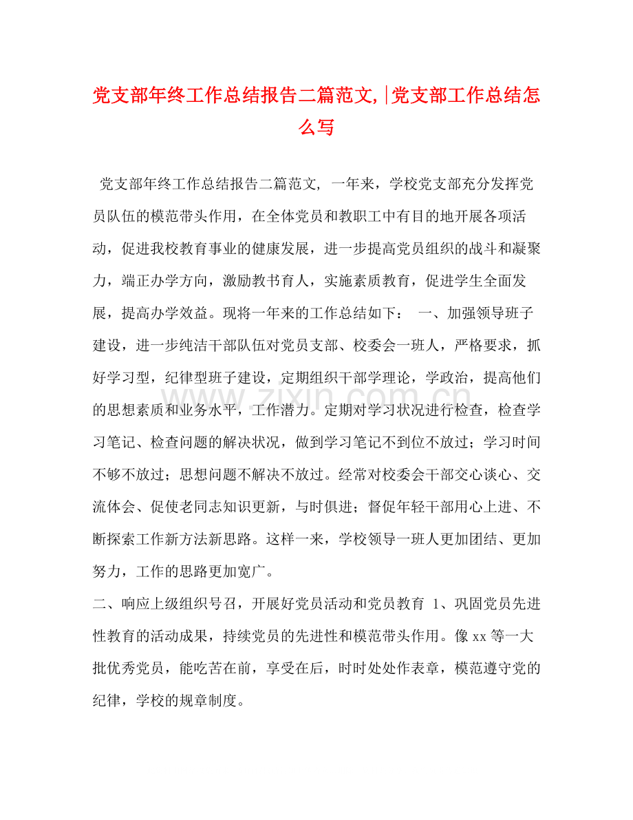 支部年终工作总结报告二篇范文党支部工作总结怎么写.docx_第1页