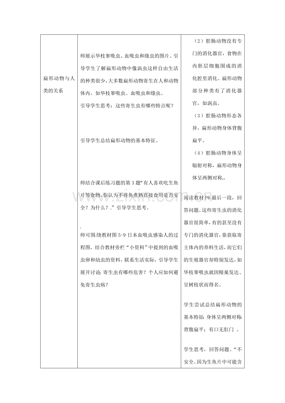 八年级生物上册 第五单元 第一章 第一节 腔肠动物和扁形动物《扁形动物》教案 （新版）新人教版-（新版）新人教版初中八年级上册生物教案.doc_第3页