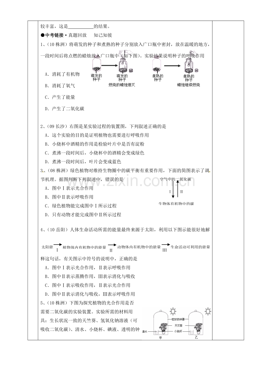 湖南省茶陵县世纪星实验学校八年级生物复习《第8讲 光合作用和呼吸作用《教案 人教新课标版.doc_第3页