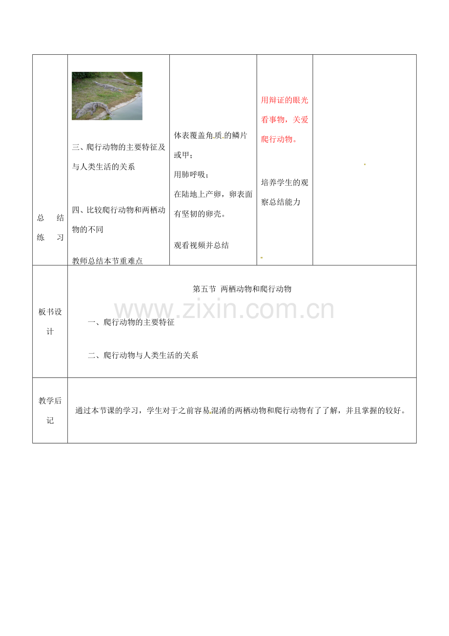 吉林省双辽市八年级生物上册 第五单元 第一章 第五节 两栖动物和爬行动物（第2课时）教案 （新版）新人教版-（新版）新人教版初中八年级上册生物教案.doc_第3页