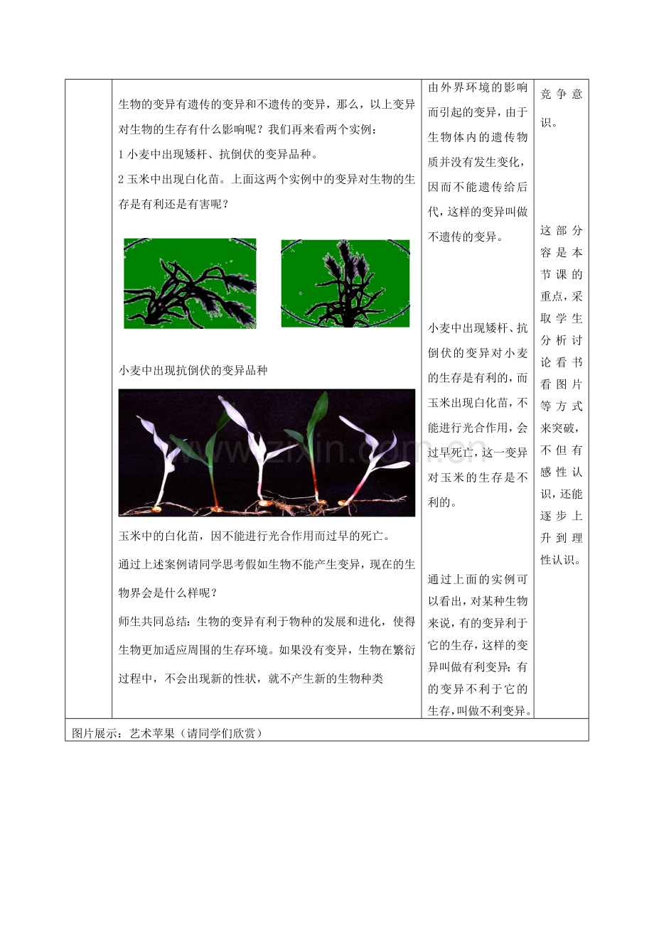 八年级生物上册 4.4.4《生物的变异》教案 （新版）济南版-（新版）济南版初中八年级上册生物教案.doc_第3页