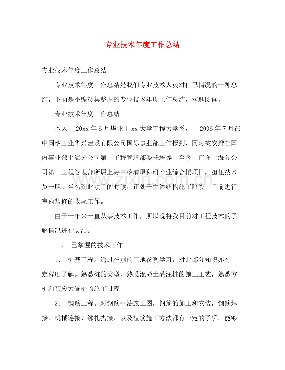 专业技术年度工作总结 .docx_第1页