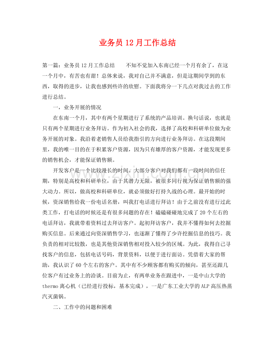 业务员12月工作总结 .docx_第1页