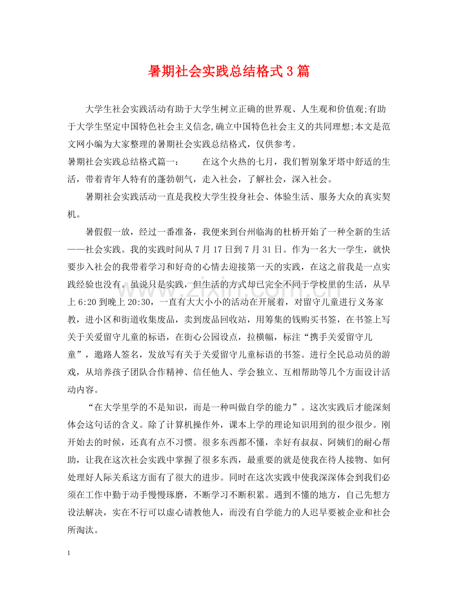 暑期社会实践总结格式3篇.docx_第1页