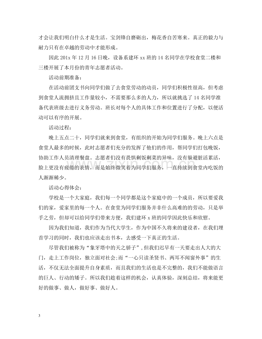 青年志愿者组织活动总结.docx_第3页