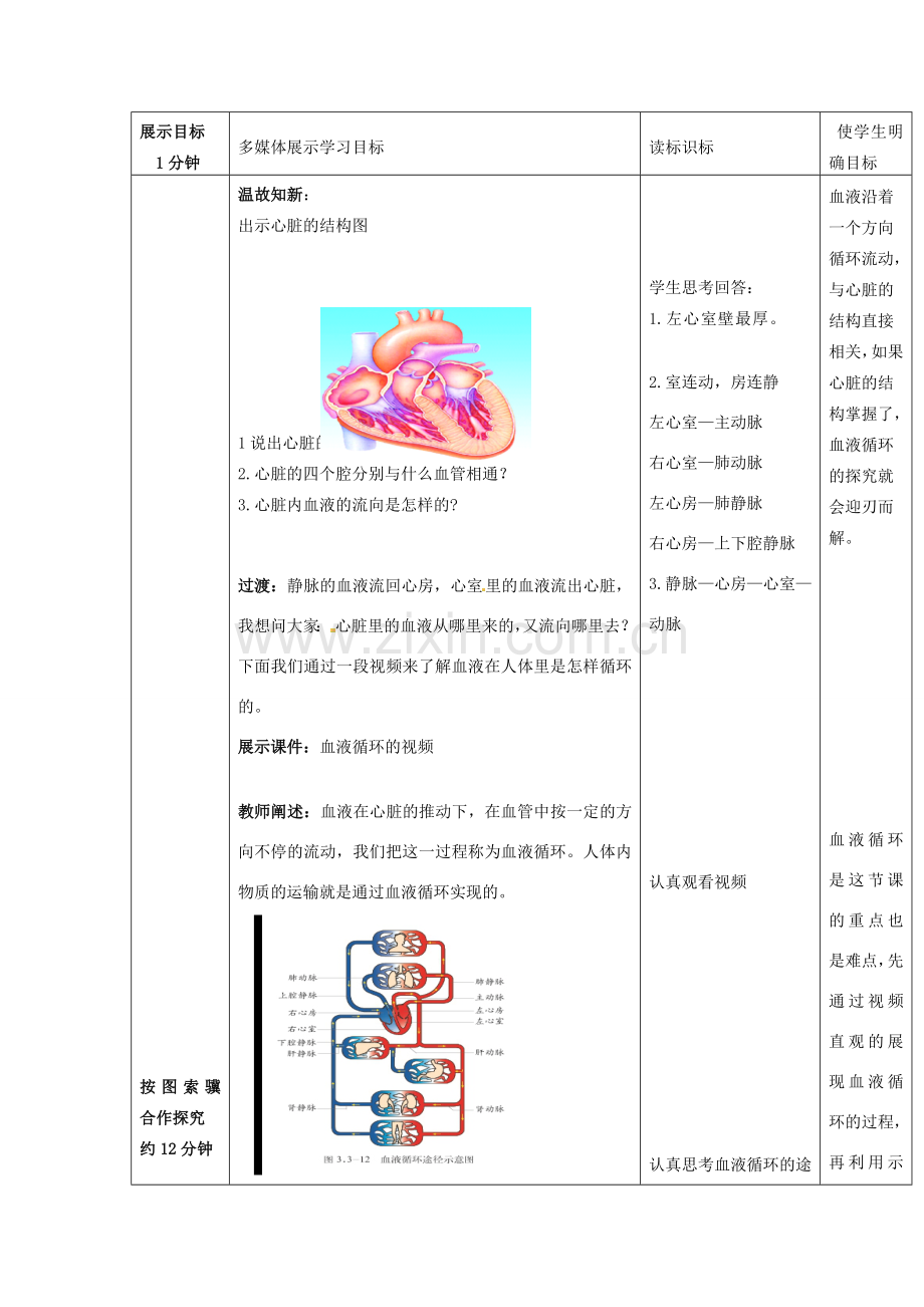 七年级生物下册 第3单元 第3章 第3节 物质运输的途径（第1课时）教案1 （新版）济南版.doc_第2页