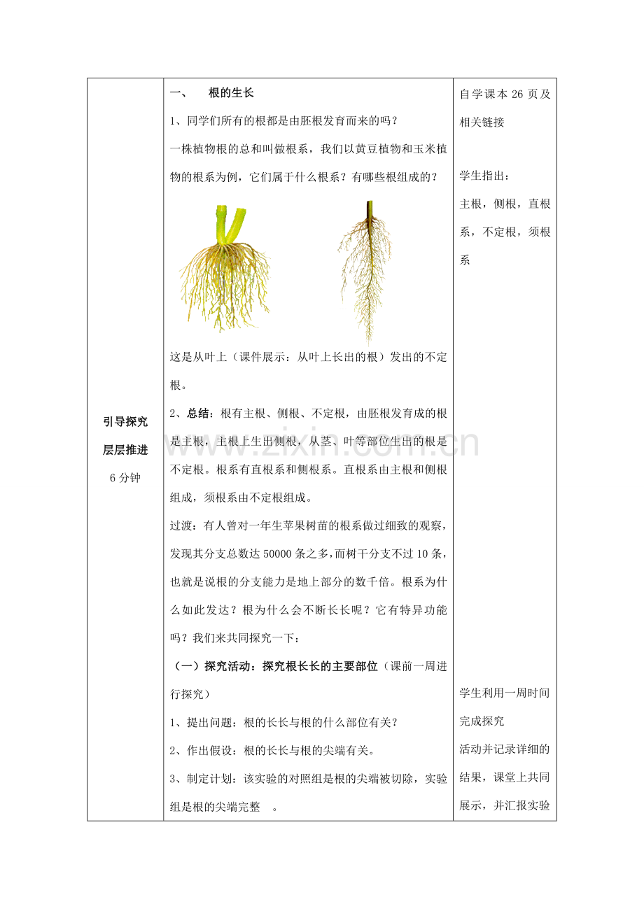 八年级生物上册 第四单元 第一章 第5节《根的结构与功能》教案 （新版）济南版-（新版）济南版初中八年级上册生物教案.doc_第2页