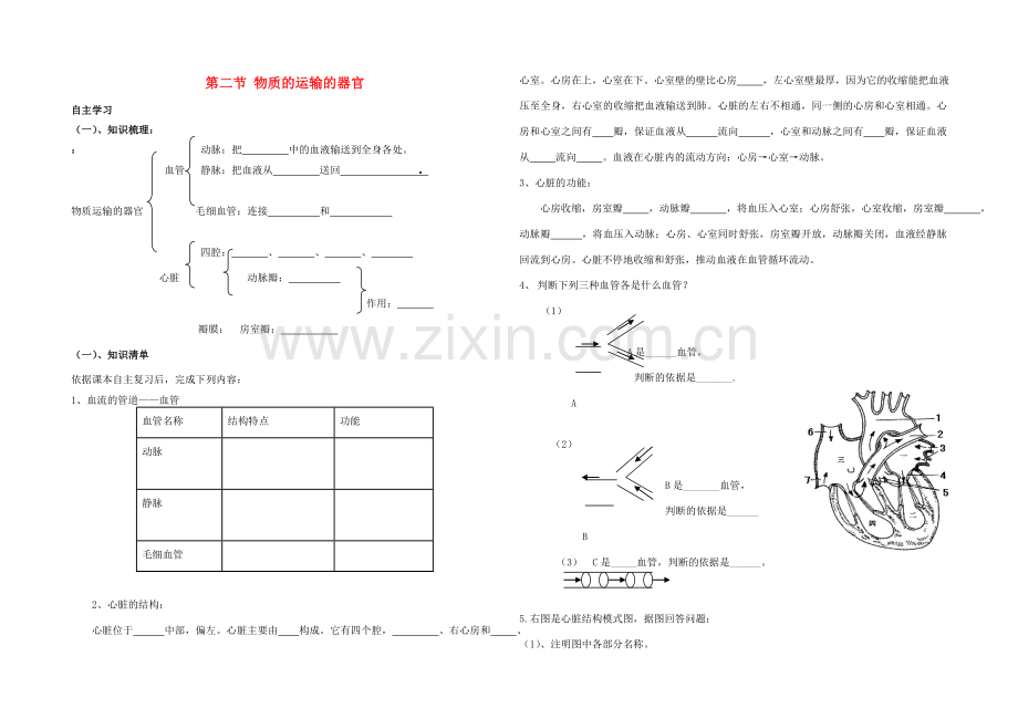 七年级生物下册 3.3.2 物质运输的器官导学案（无答案）（新版）济南版.doc_第1页