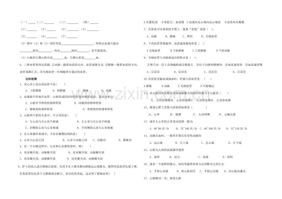 七年级生物下册 3.3.2 物质运输的器官导学案（无答案）（新版）济南版.doc_第2页