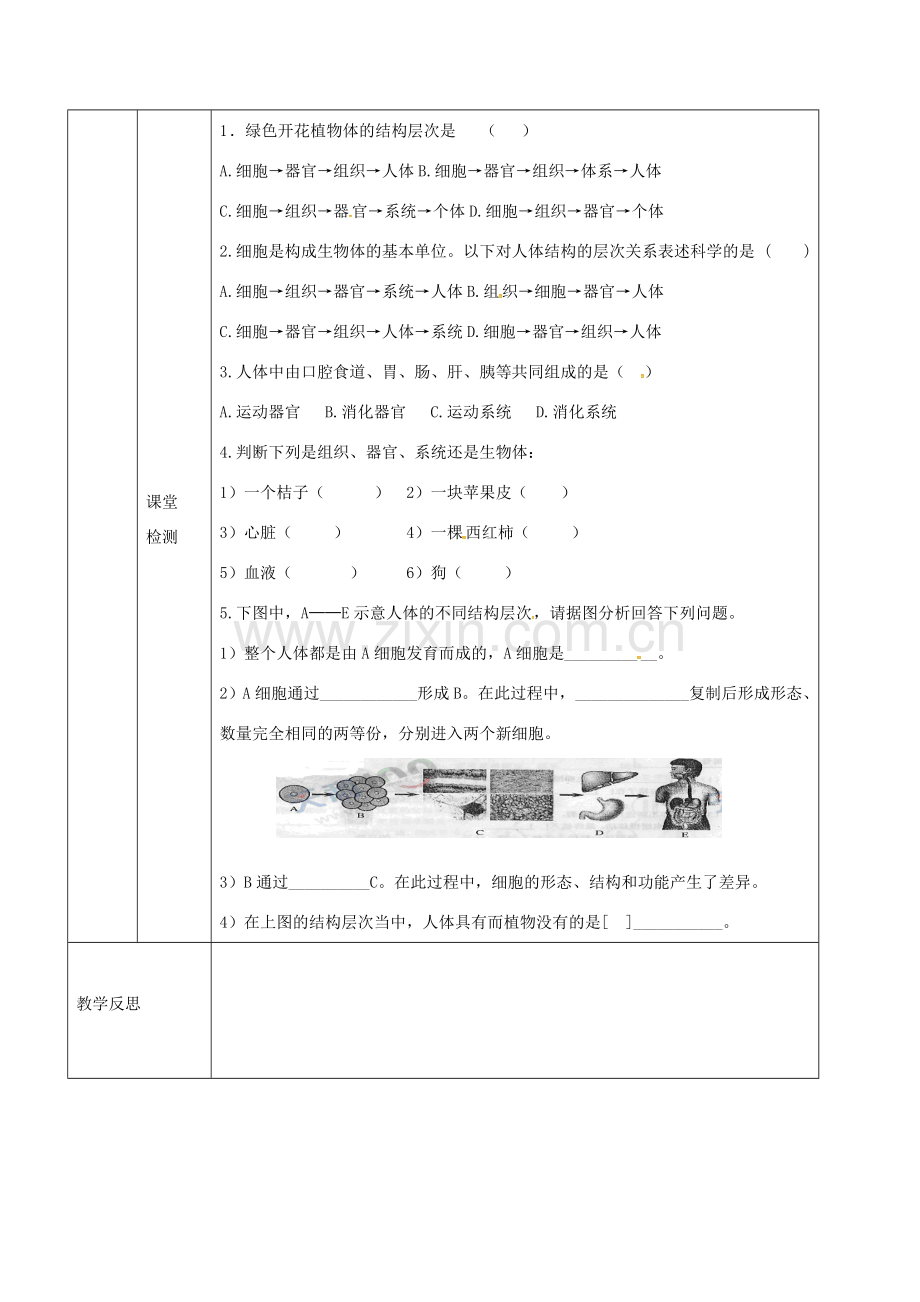 甘肃省临泽县七年级生物上册 第二单元 第四章 第二节 多细胞生物体的组成教学设计 苏教版-苏教版初中七年级上册生物教案.doc_第3页