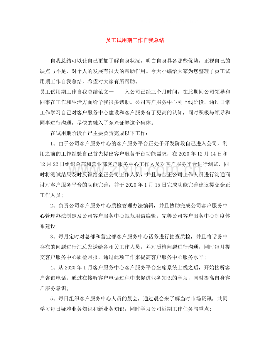 员工试用期工作自我总结.docx_第1页