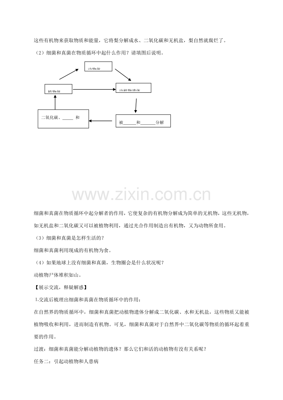 八年级生物上册 5.4.4 细菌和真菌在自然界中的作用教案3 （新版）新人教版.doc_第2页