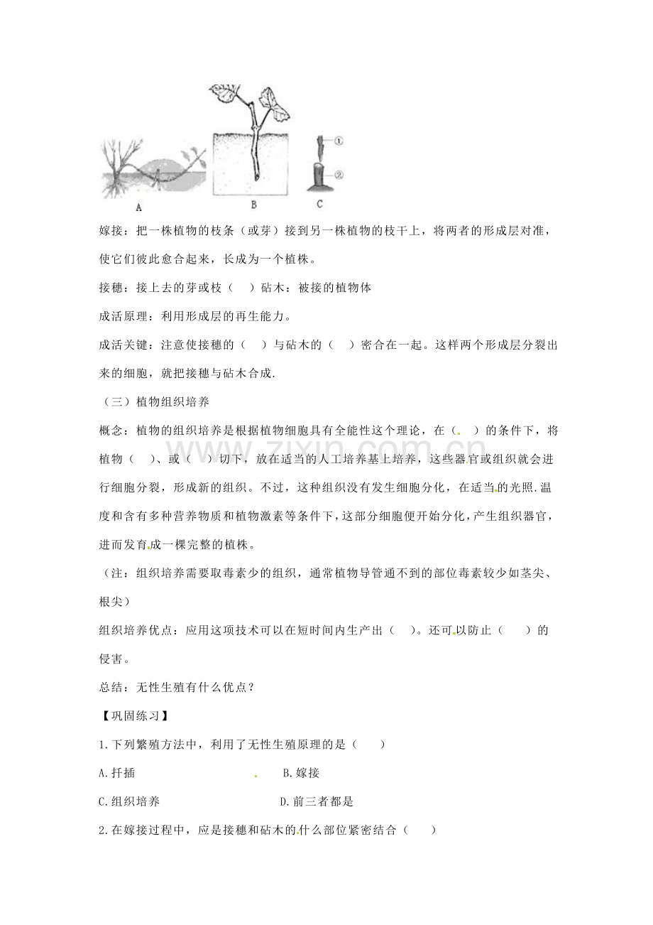 八年级生物下册 8.21.1生物的无性生殖教学设计 （新版）苏教版-（新版）苏教版初中八年级下册生物教案.doc_第2页