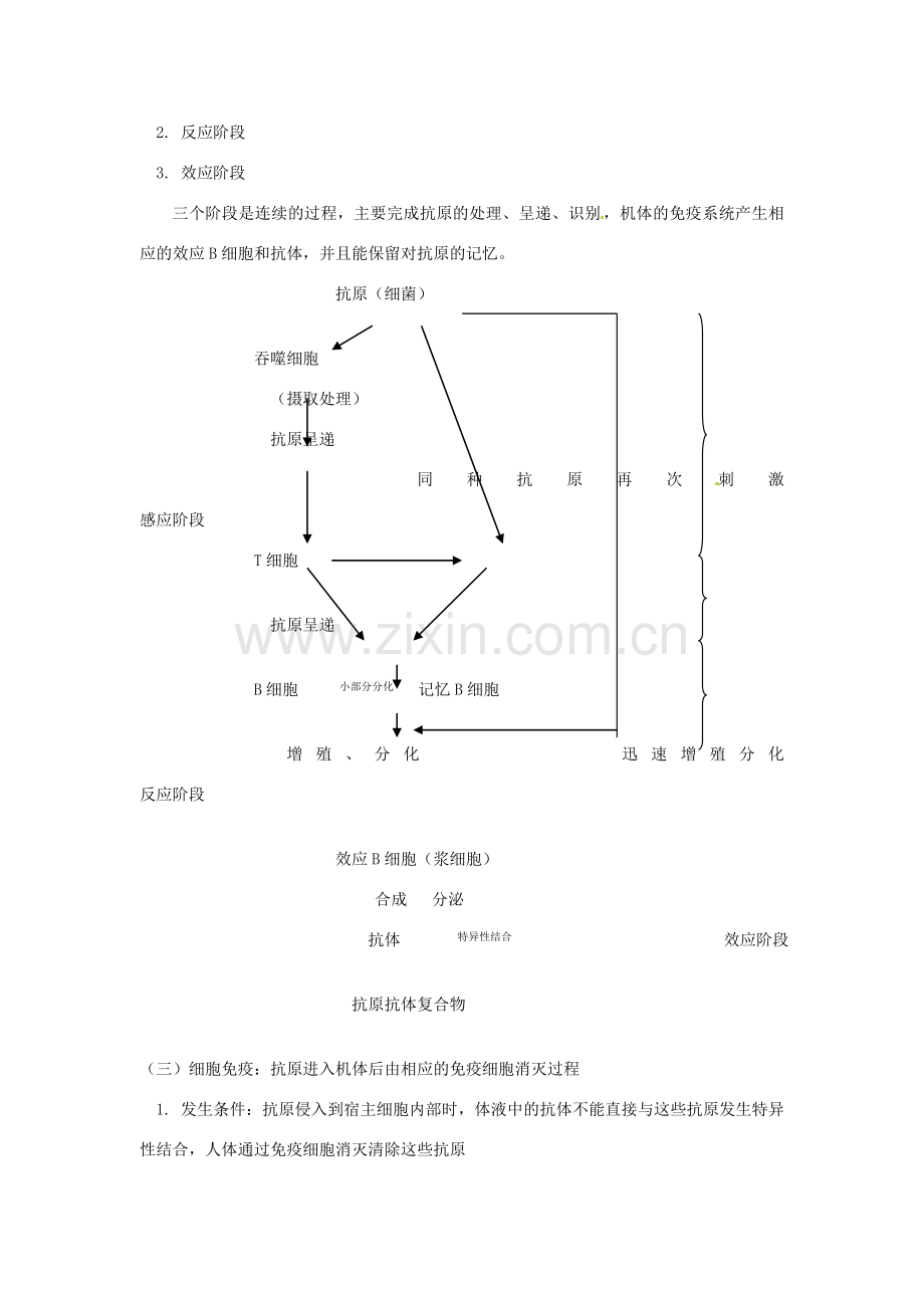 七年级生物下册 人体免疫教案 北师大版.doc_第2页