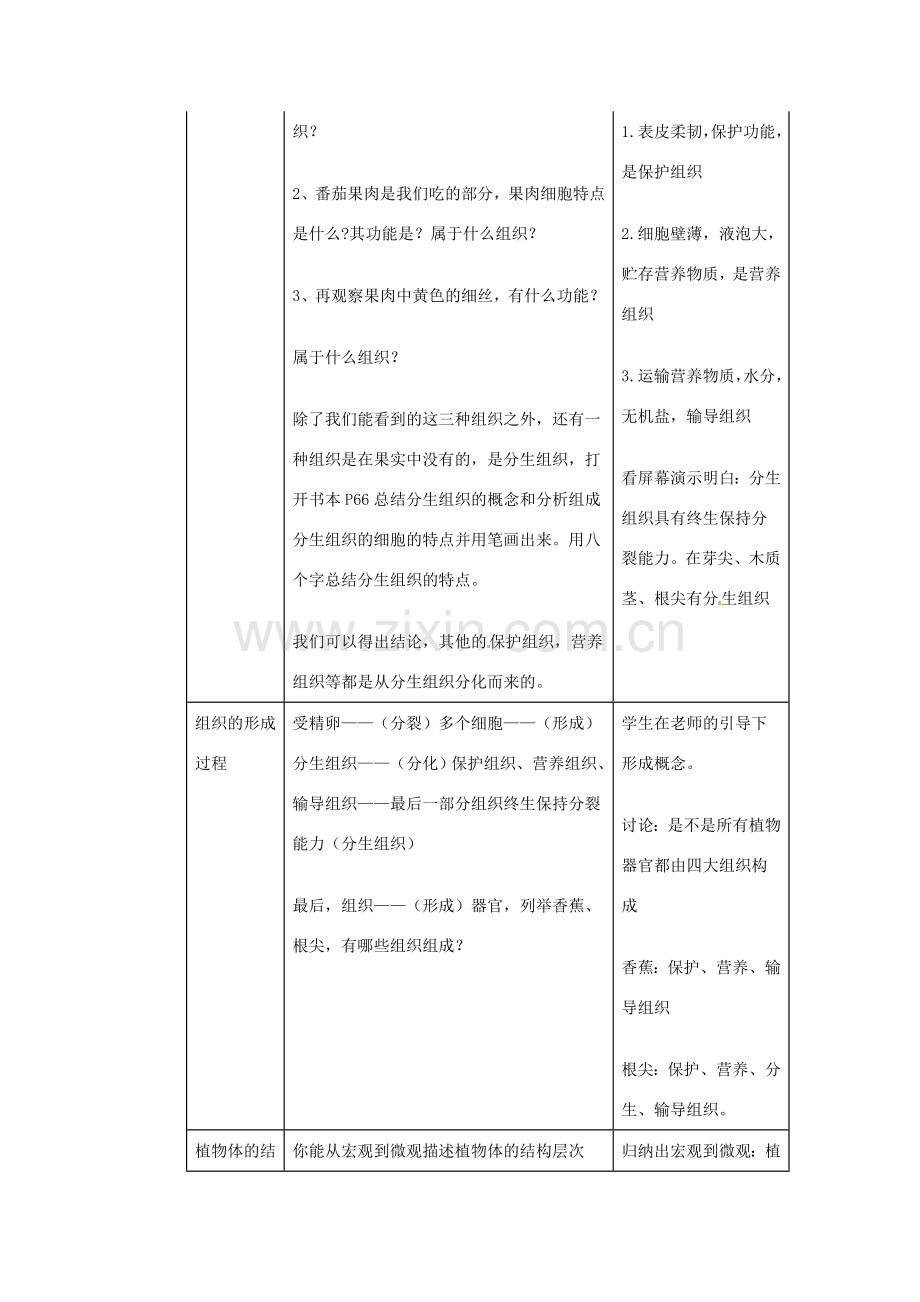 重庆市开县德阳初级中学七年级生物上册《2.2.3 动植物体的结构层次》教案 苏教版.doc_第3页