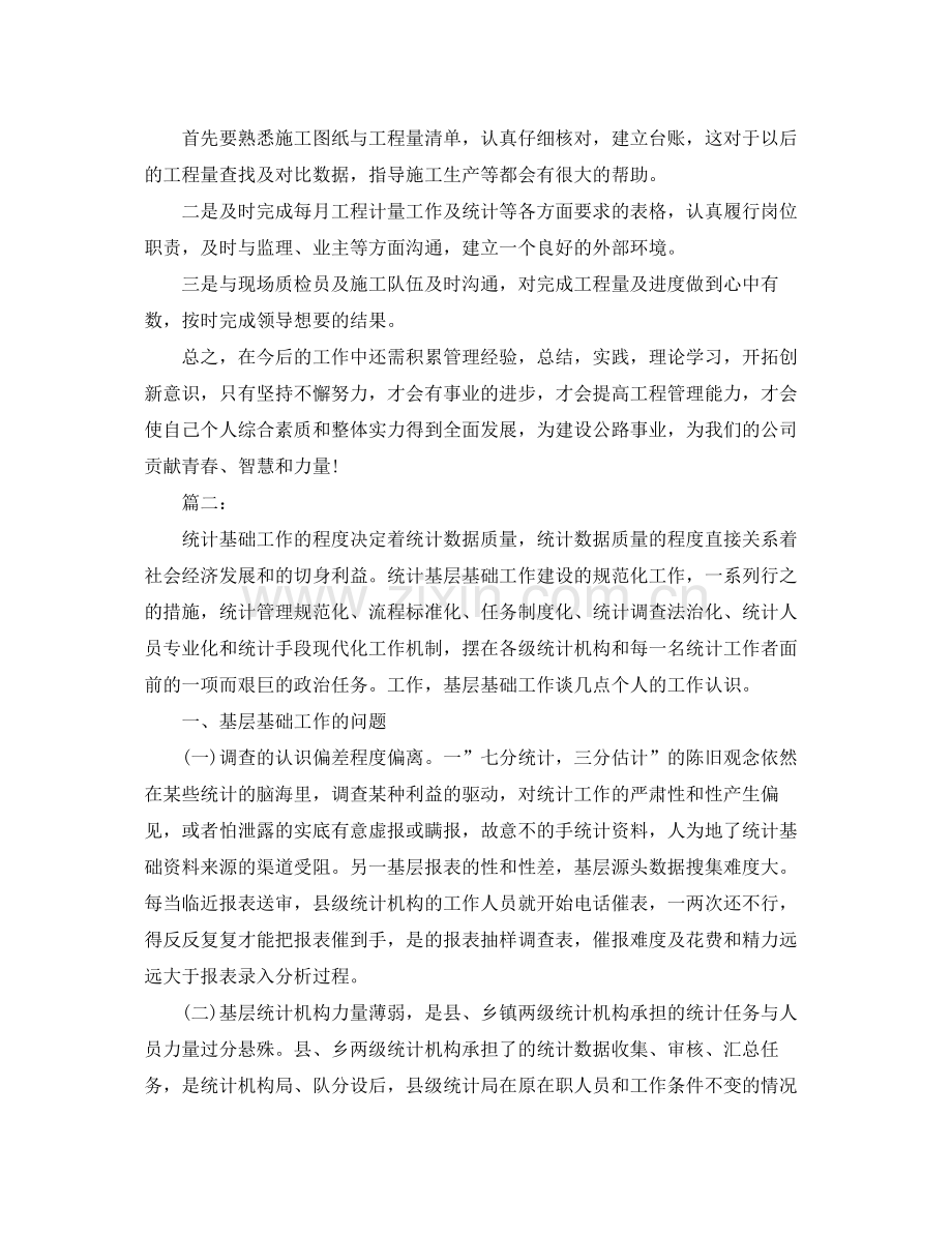 统计工作个人工作总结 .docx_第2页