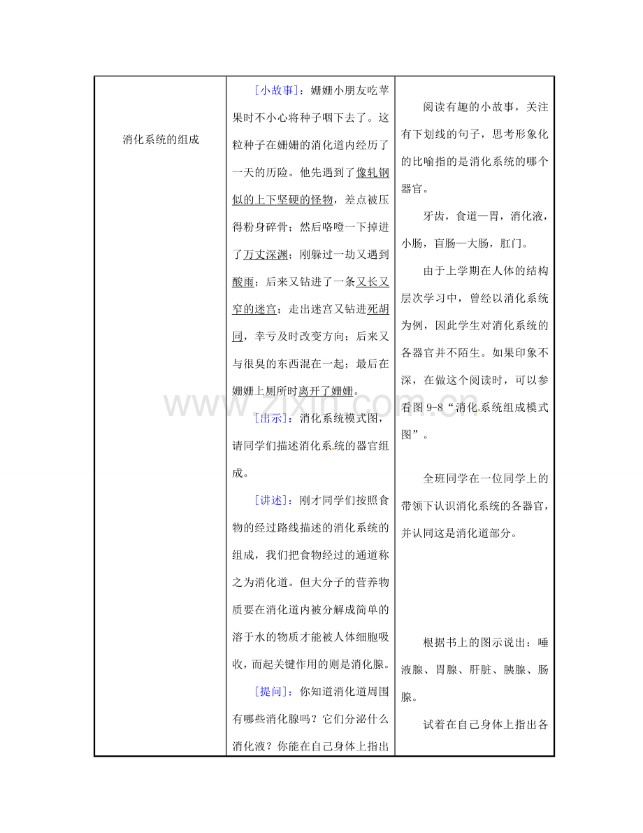 江苏省东台市唐洋镇中学七年级生物下册《9.2 人体的消化与吸收》教案 苏教版.doc_第2页