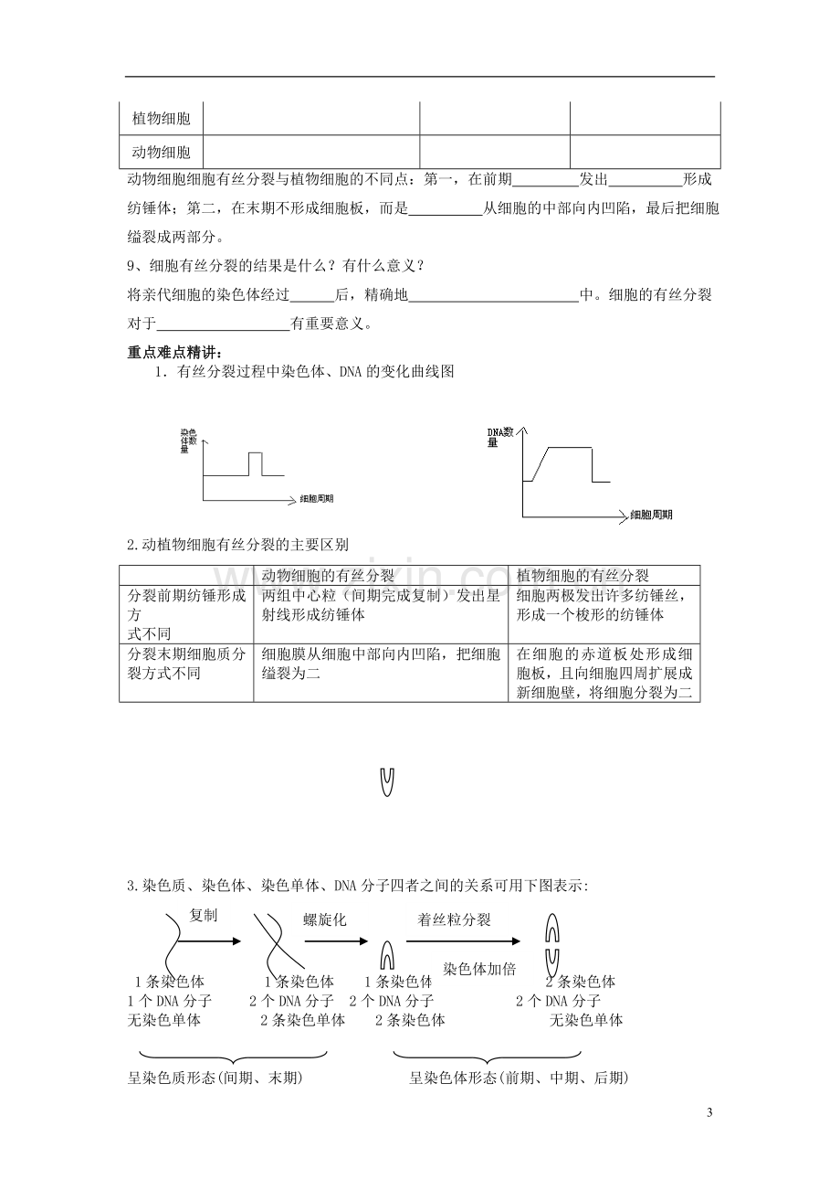 高中生物《61细胞的增殖》导学案新人教版必修1.doc_第3页